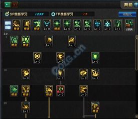 dnf二觉元素加点,DNF二觉加点攻略解析