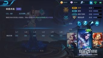 王者荣甄姬出装,荣耀战场上的冰雪女神出装攻略