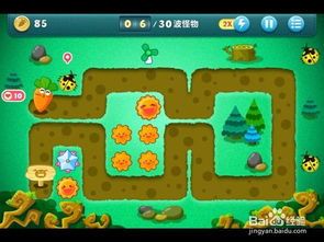 保卫萝卜丛林12攻略,轻松通关秘籍大揭秘