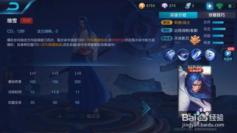 王者荣誉橘右京出装,王者荣耀中的剑客风采