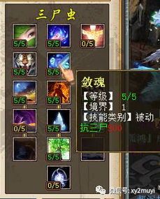 男鬼三尸天演策加点,探寻神秘力量与命运交织的奇幻旅程