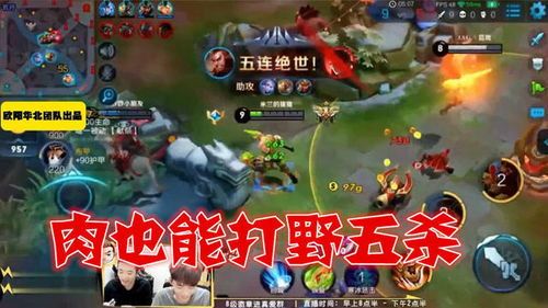 王者荣耀半月打野出装,打造高效野区霸主