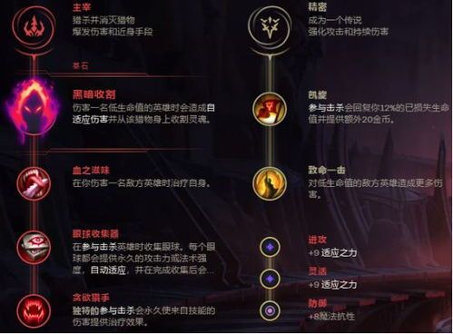 lol猫咪这么出装,英雄联盟中猫咪英雄的出装攻略解析