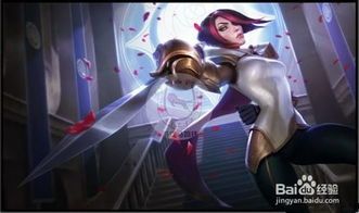 半肉阿珂暴力出装,装备搭配攻略解析