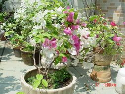 新花木男出装,打造时尚个性穿搭风格