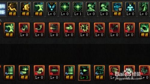 dnf牡丹加点,打造最强输出，绽放战场之花