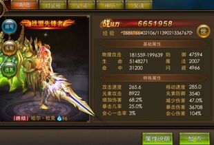 永恒纪元战士反伤加点,反伤加点策略解析与实战指南