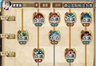 航海王索隆加点,剑道巅峰，航海传奇