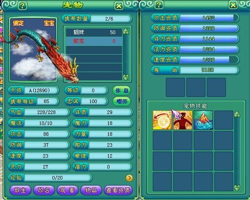 神武蛟龙怎么加点,打造无敌战神之路