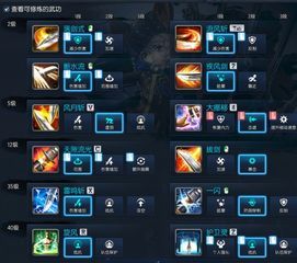 雷系灵剑士加点