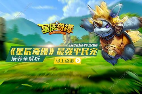 功夫熊加点,揭秘武侠世界中的神秘力量