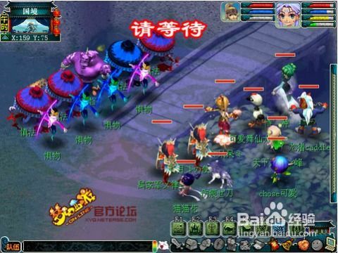 水陆大会攻略,全方位解析，畅游盛宴攻略指南