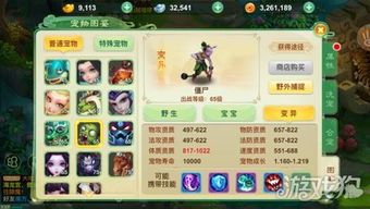 血耐宝宝怎么加点,打造无敌生存力