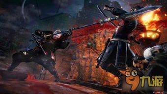 仁王忍加点,加点策略解析与实战技巧