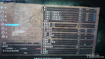 仁王忍加点,加点策略解析与实战技巧