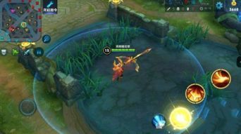 后羿出装顺序苹果版,苹果版出装顺序攻略揭秘