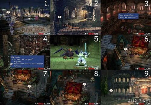 最终幻想9攻略,深度解析最终幻想9攻略