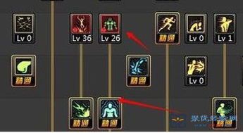 90版本散打加点,探寻传统武术与现代竞技的完美融合