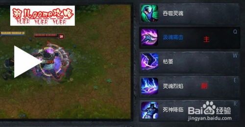 狗头加点,揭秘宠物界的趣味与智慧