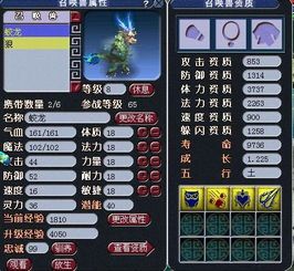 梦幻西游 宝宝加点,打造最强宠物组合