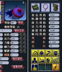 梦幻西游 宝宝加点,打造最强宠物组合