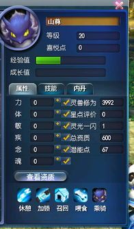 天下3灵兽加点,天下3灵兽加点全解析 天下3灵兽加点,天下3灵兽加点全解析