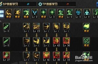 地下城与勇士黑暗武士加点,力量与敏捷的完美融合 地下城与勇士黑暗武士加点,力量与敏捷的完美融合