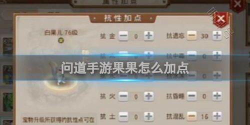 白果儿加点,探寻千年古树的神奇与魅力