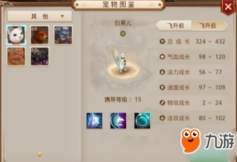 白果儿加点,探寻千年古树的神奇与魅力