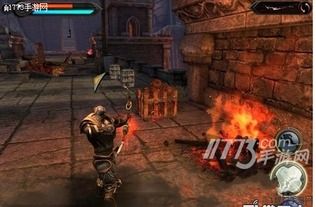 狂野之血攻略,解锁战斗巅峰的秘籍解析