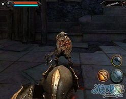 狂野之血攻略,解锁战斗巅峰的秘籍解析