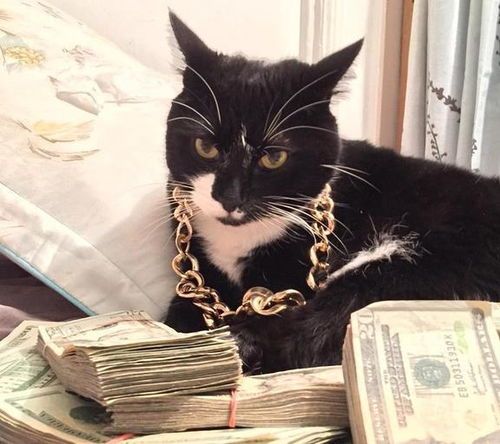 中路猫咪出装,打造无敌法师之路 中路猫咪出装,打造无敌法师之路