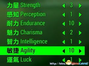 辐射4初始加点,加点策略揭秘，打造个性化生存传奇