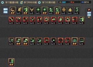 魔法流男弹药加点,揭秘神秘力量之源