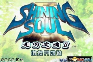 光明之魂2弓箭手加点,弓箭手加点攻略，精准射击，荣耀战场