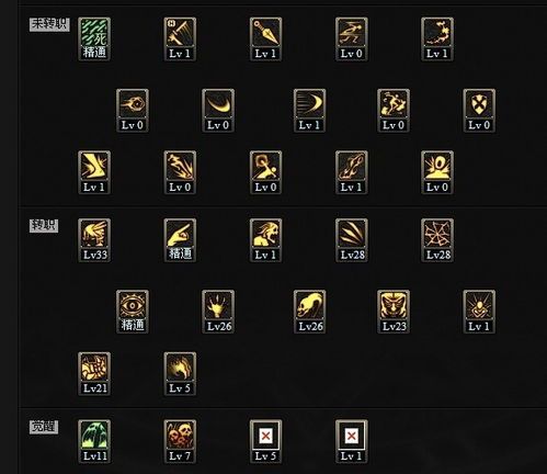 80死灵术士刷图加点 80死灵术士刷图加点