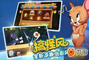 毒猫加点,揭秘神秘猫族的力量与奥秘