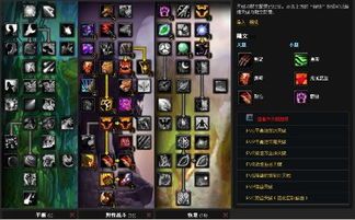 毒猫加点,揭秘神秘猫族的力量与奥秘