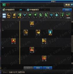 女圣骑士加点刷图图,刷图利器，战力飙升！