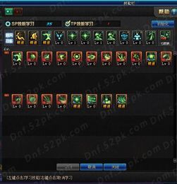 女圣骑士加点刷图图,刷图利器，战力飙升！