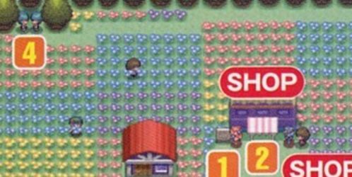 口袋妖怪珍珠攻略,全面解析，轻松征服宝可梦世界