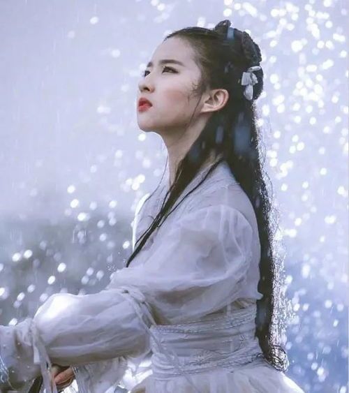 小龙女出装顺序图,从入门到精通的出装顺序揭秘