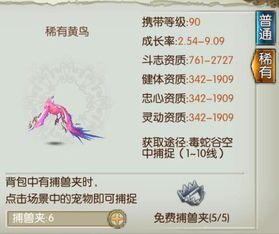 彩翼加点,探寻梦幻色彩的奇幻之旅